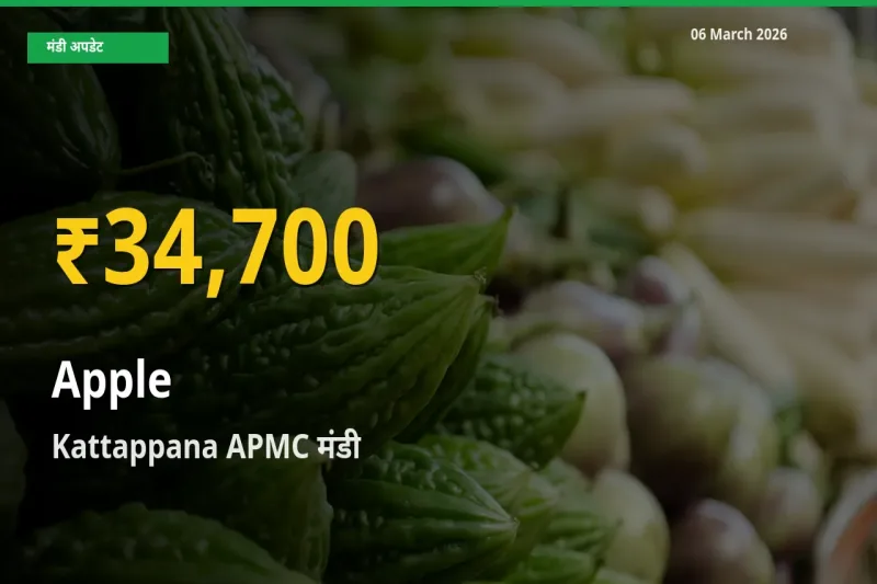 सेब के भावों में जबरदस्त उछाल, Kattappana APMC में नया उच्च स्तर