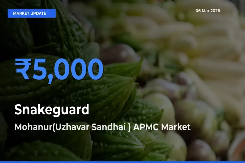 Mohanur(Uzhavar Sandhai ) APMC Emerges as Top Mandi for Snakeguard Prices Today