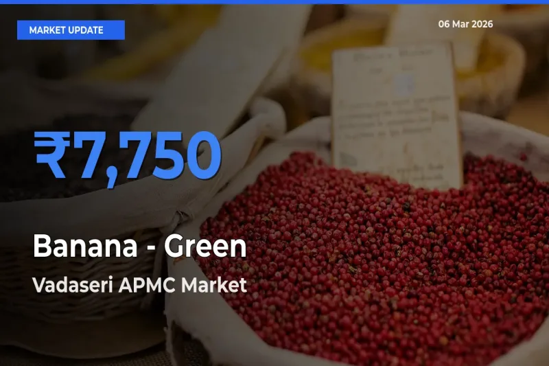 Market Watch: Vadaseri APMC Becomes Top Mandi for Banana - Green