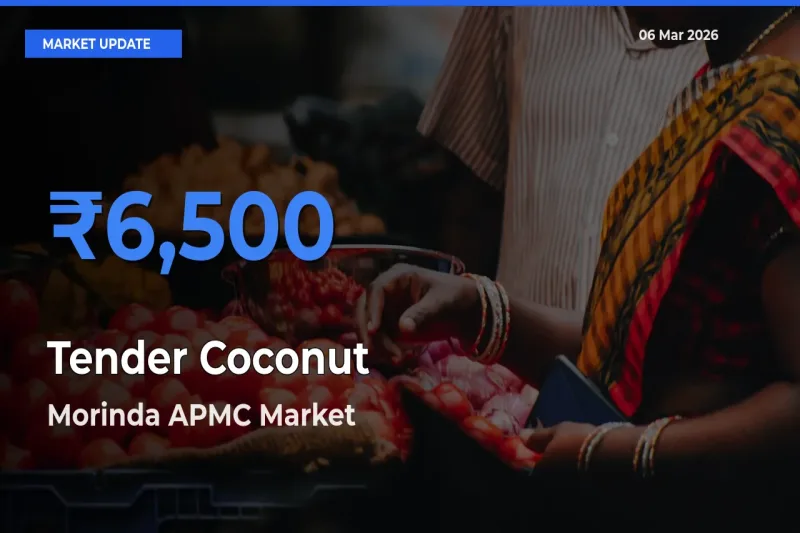 Morinda APMC Tops Tender Coconut Rates – March 06 Market Update