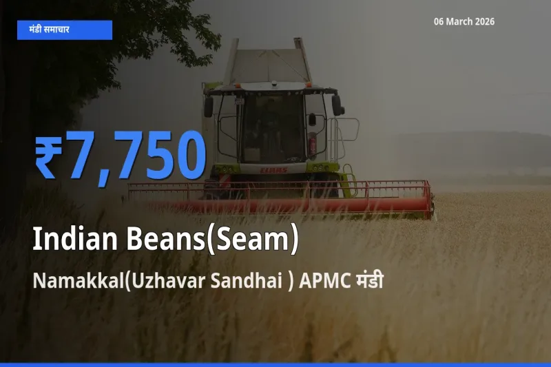 Namakkal(Uzhavar Sandhai ) APMC में सेम (देशी) का आज सबसे ऊँचा भाव