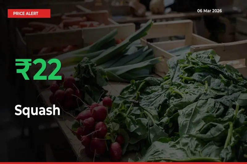 21.76% Spike in Squash Prices – Mandi Sees Sudden Rally