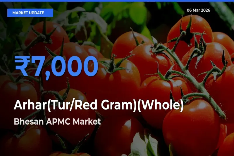 Farmers Prefer Bhesan APMC as Arhar(Tur/Red Gram)(Whole) Hits Highest Rate