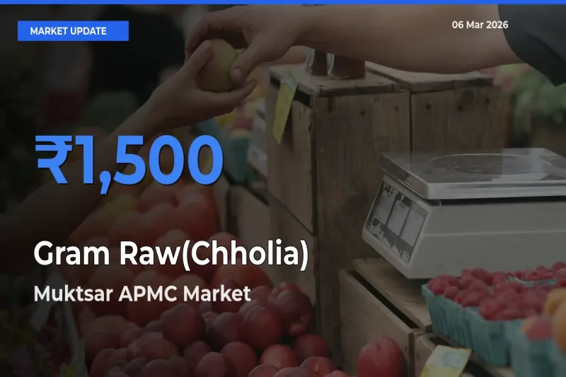 Farmers Prefer Muktsar APMC as Gram Raw(Chholia) Hits Highest Rate