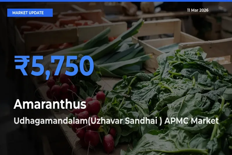 Amaranthus Mandi Rate Today: Udhagamandalam(Uzhavar Sandhai ) APMC Tops the List