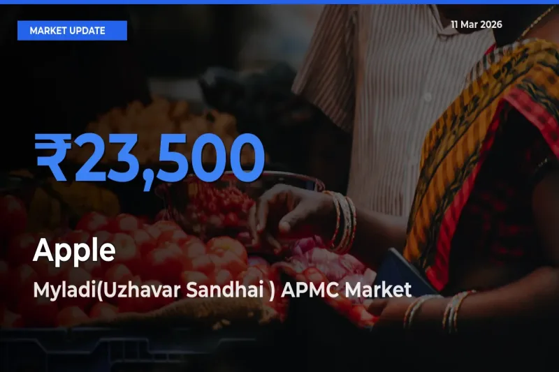 Farmers Prefer Myladi(Uzhavar Sandhai ) APMC as Apple Hits Highest Rate