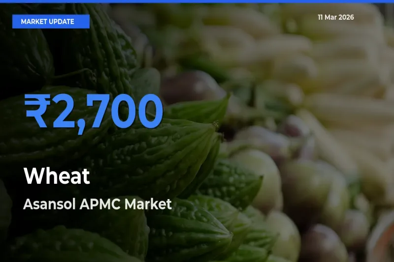 Asansol APMC Records Highest ₹2,700 Rate for Wheat