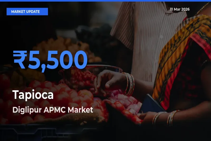Market Watch: Diglipur APMC Becomes Top Mandi for Tapioca