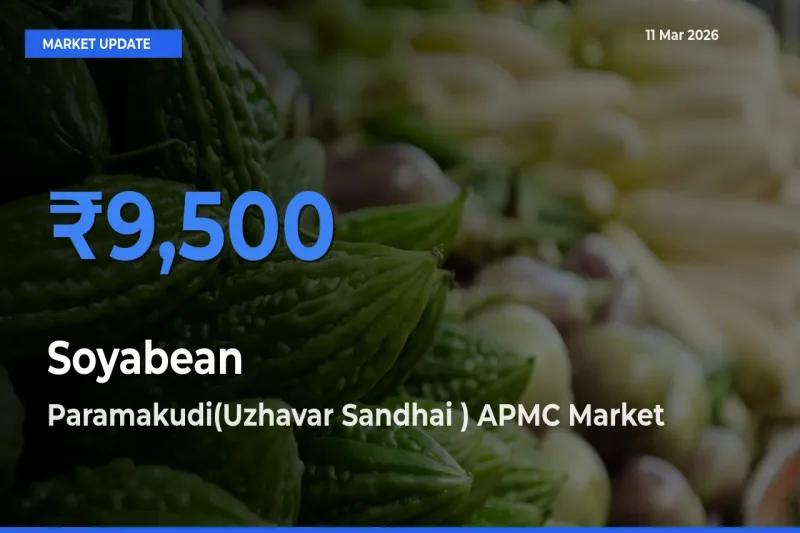 Paramakudi(Uzhavar Sandhai ) APMC Emerges as Top Mandi for Soyabean Prices Today