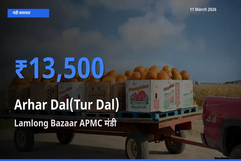 Lamlong Bazaar APMC मंडी में अरहर दाल ₹13,500 पर पहुँचा – आज का सर्वोच्च भाव