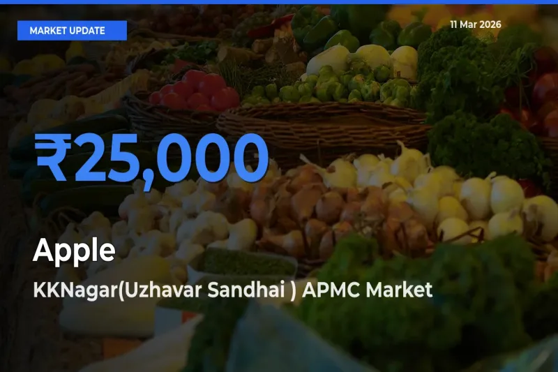 Top Performer! KKNagar(Uzhavar Sandhai ) APMC Offers Best Apple Price Today