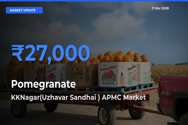 KKNagar(Uzhavar Sandhai ) APMC Emerges as Top Mandi for Pomegranate Prices Today