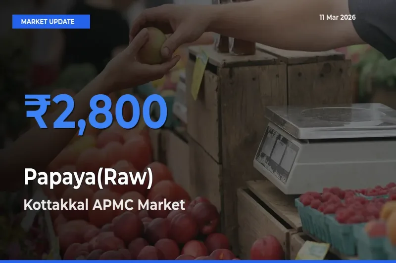 Kottakkal APMC Leads as Top Mandi for Papaya(Raw) Prices