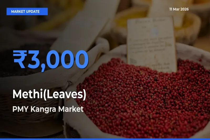 PMY Kangra Records Highest ₹3,000 Rate for Methi(Leaves)