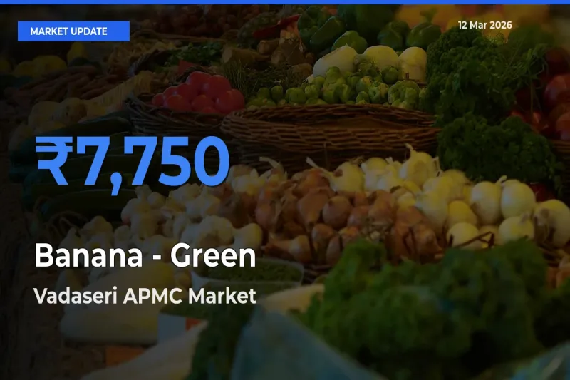 Vadaseri APMC Records Highest ₹7,750 Rate for Banana - Green