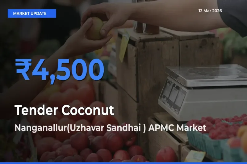 Tender Coconut Mandi Rate Today: Nanganallur(Uzhavar Sandhai ) APMC Tops the List