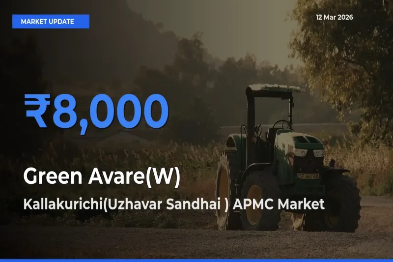 Green Avare(W) Mandi Rate Today: Kallakurichi(Uzhavar Sandhai ) APMC Tops the List