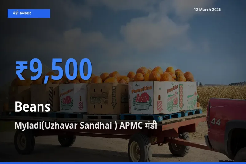आज फलियाँ (सेम) के सबसे ज़्यादा दाम Myladi(Uzhavar Sandhai ) APMC मंडी में दर्ज