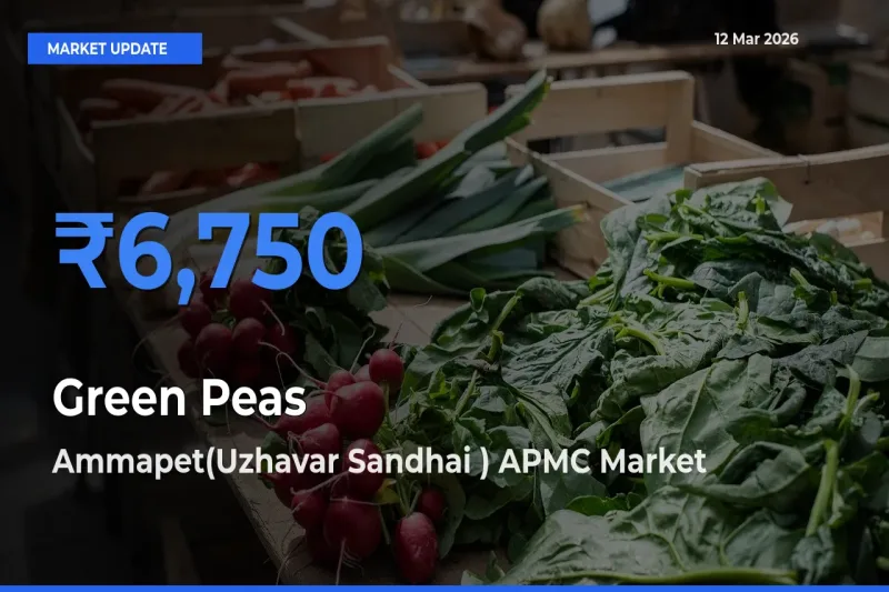 Ammapet(Uzhavar Sandhai ) APMC Emerges as Top Mandi for Green Peas Prices Today
