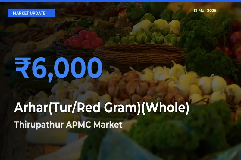 Thirupathur APMC Offers ₹6,000 – Highest Arhar(Tur/Red Gram)(Whole) Rate Today