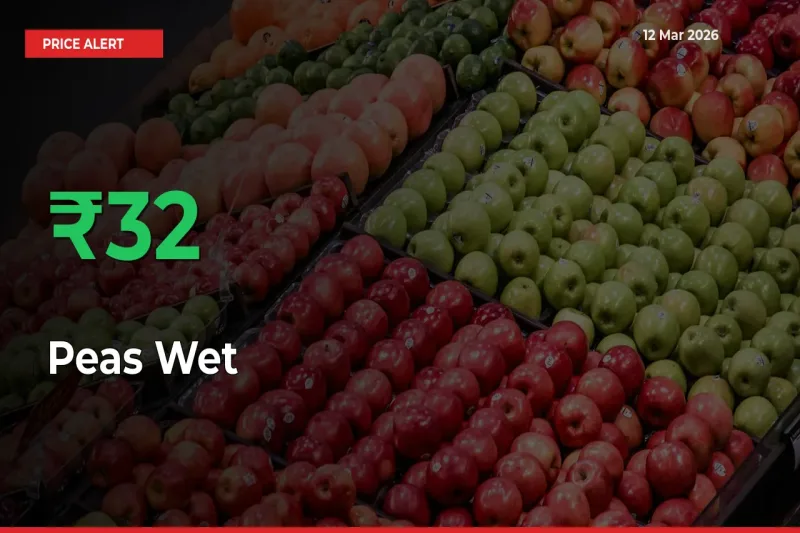 Farmers Cheer as Peas Wet Prices Surge 32.06% in Local Mandis