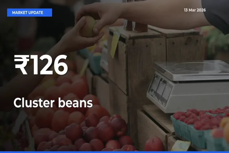 Strong Trend in Cluster beans Rates Across Multiple Mandis – What It Means for Traders