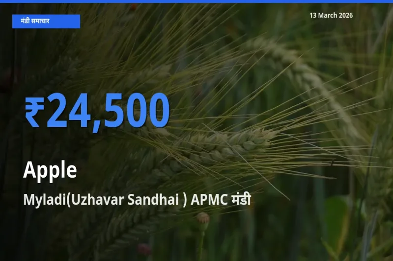 Myladi(Uzhavar Sandhai ) APMC मंडी में आज सेब के सबसे ऊँचे दाम दर्ज