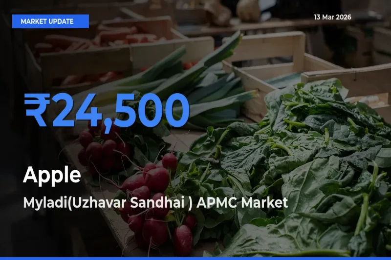Myladi(Uzhavar Sandhai ) APMC Offers ₹24,500 – Highest Apple Rate Today