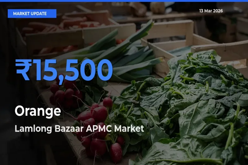 Lamlong Bazaar APMC Emerges as Top Mandi for Orange Prices Today