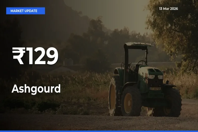 Strong Trend in Ashgourd Rates Across Multiple Mandis – What It Means for Traders
