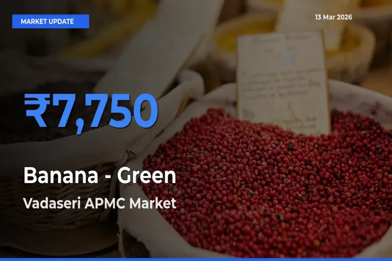 Farmers Prefer Vadaseri APMC as Banana - Green Hits Highest Rate