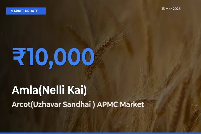 Arcot(Uzhavar Sandhai ) APMC Tops Amla(Nelli Kai) Rates – March 13 Market Update