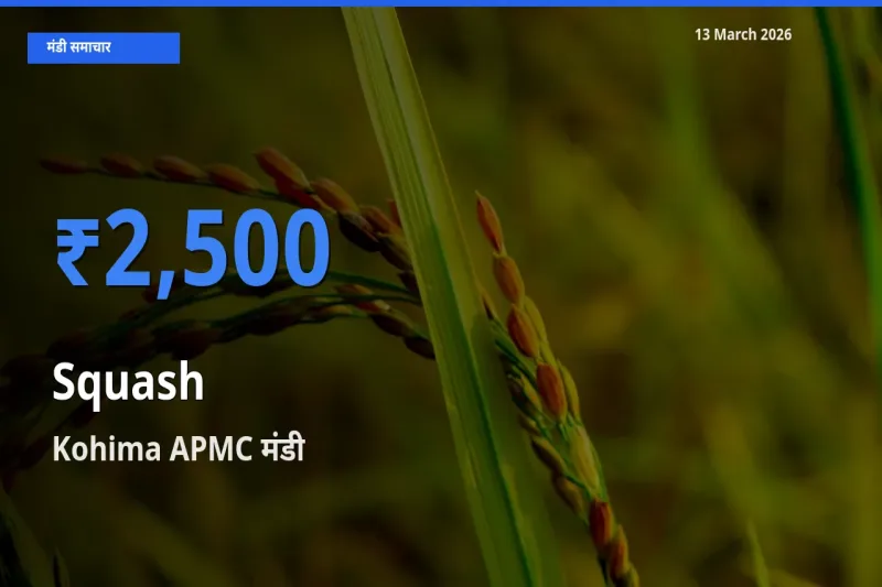 Kohima APMC मंडी में कद्दू (कोहड़ा) ₹2,500 पर पहुँचा – आज का सर्वोच्च भाव