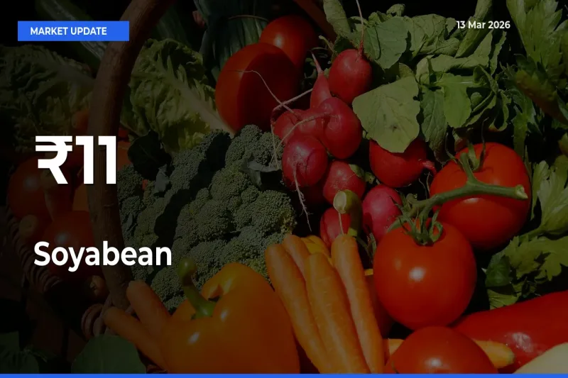 Soyabean Prices Gain Momentum Across 11+ Mandis – Market Trend Strengthens