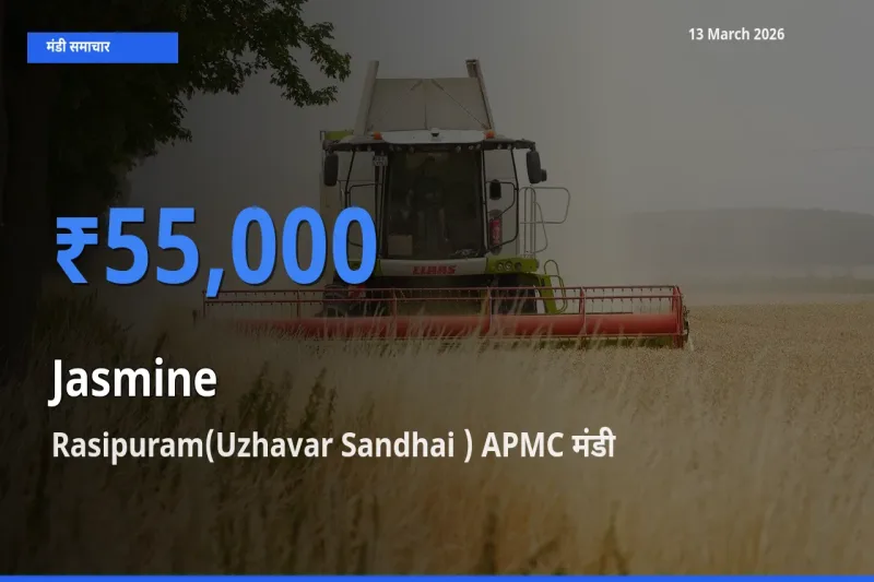 Rasipuram(Uzhavar Sandhai ) APMC मंडी में चमेली ₹55,000 पर पहुँचा – आज का सर्वोच्च भाव