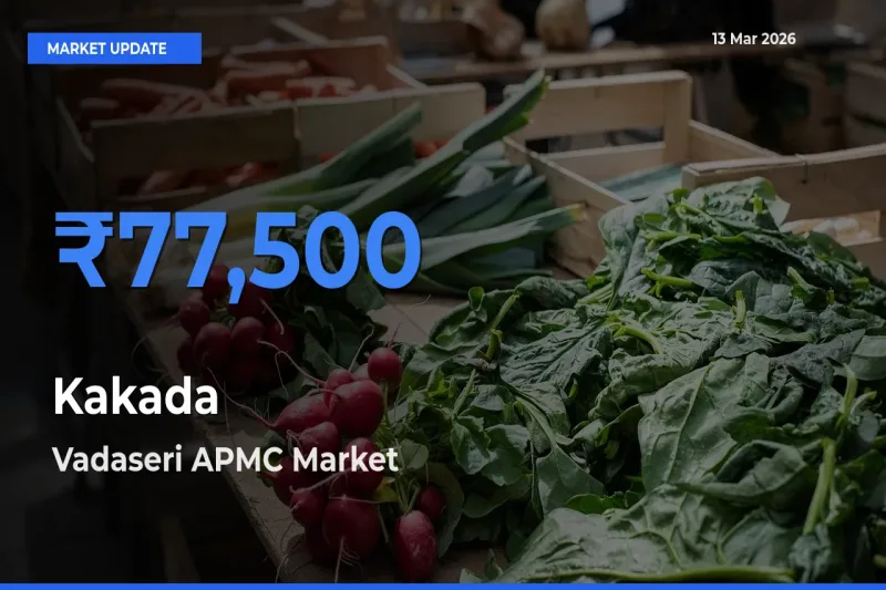 Top Performer! Vadaseri APMC Offers Best Kakada Price Today