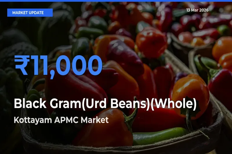Farmers Prefer Kottayam APMC as Black Gram(Urd Beans)(Whole) Hits Highest Rate