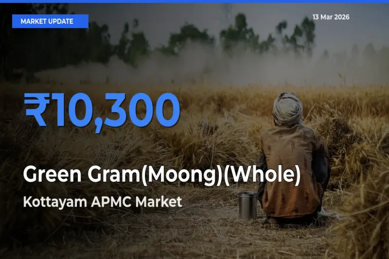 Kottayam APMC Emerges as Top Mandi for Green Gram(Moong)(Whole) Prices Today