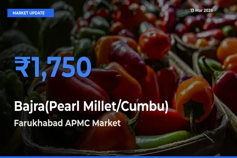 Farukhabad APMC Leads as Top Mandi for Bajra(Pearl Millet/Cumbu) Prices