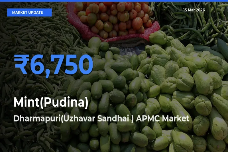 Dharmapuri(Uzhavar Sandhai ) APMC Tops Mint(Pudina) Mandi Rates Today