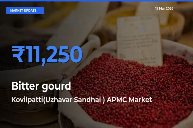 Market Watch: Kovilpatti(Uzhavar Sandhai ) APMC Becomes Top Mandi for Bitter gourd