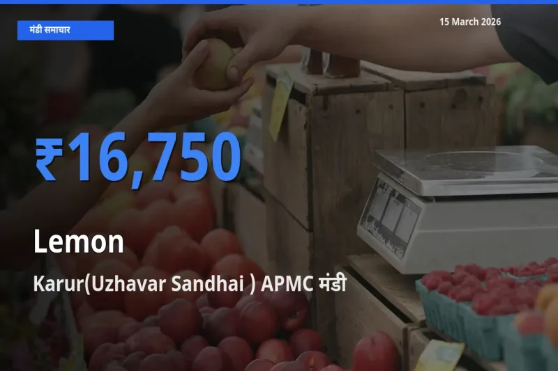 Karur(Uzhavar Sandhai ) APMC में नींबू का आज सबसे ऊँचा भाव