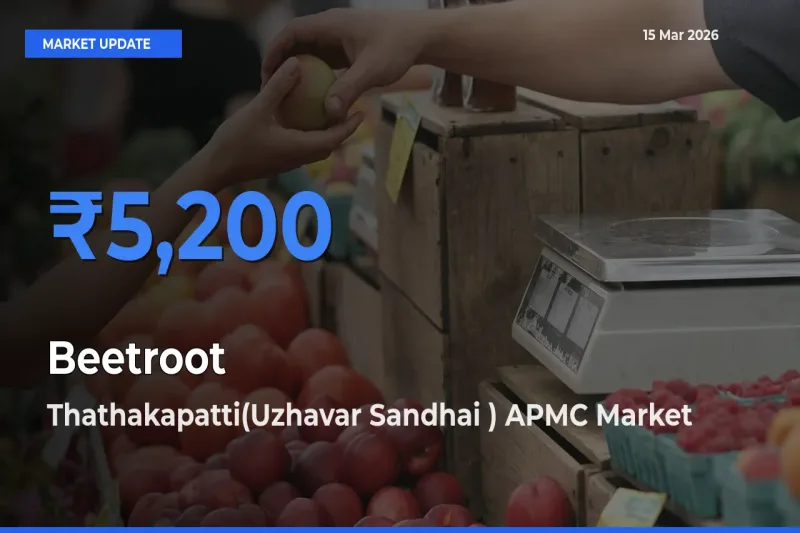 Market Watch: Thathakapatti(Uzhavar Sandhai ) APMC Becomes Top Mandi for Beetroot