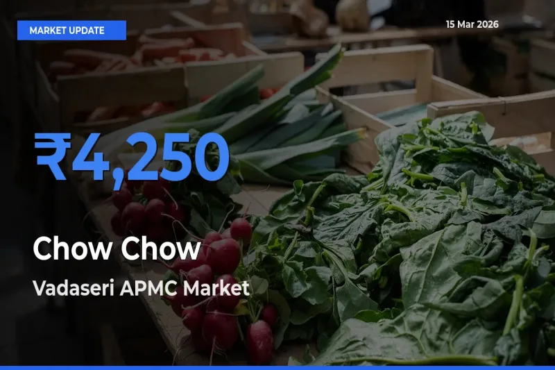 Chow Chow Mandi Rate Today: Vadaseri APMC Tops the List