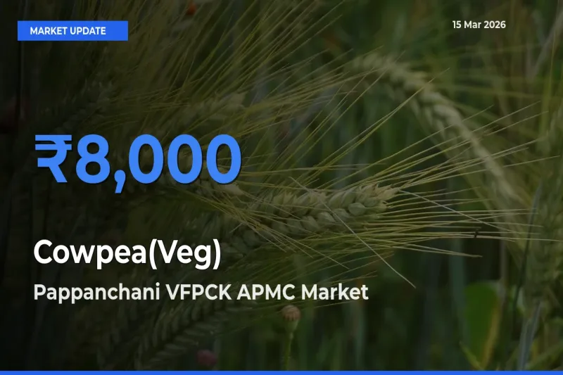 Pappanchani VFPCK APMC Leads as Top Mandi for Cowpea(Veg) Prices