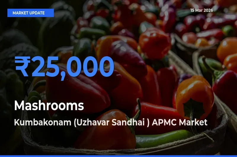 Farmers Prefer Kumbakonam (Uzhavar Sandhai ) APMC as Mashrooms Hits Highest Rate