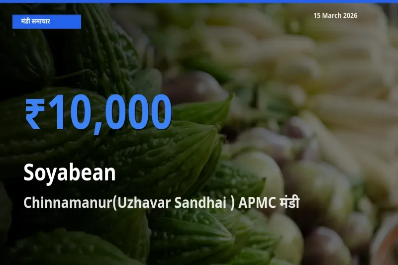 आज सोयाबीन के सबसे ऊँचे दाम ₹10,000 Chinnamanur(Uzhavar Sandhai ) APMC मंडी में