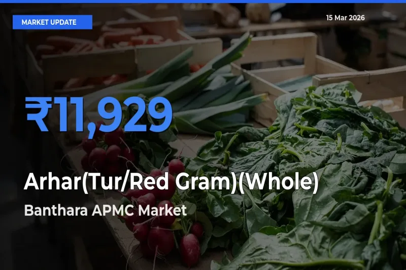 Banthara APMC Tops Arhar(Tur/Red Gram)(Whole) Mandi Rates Today