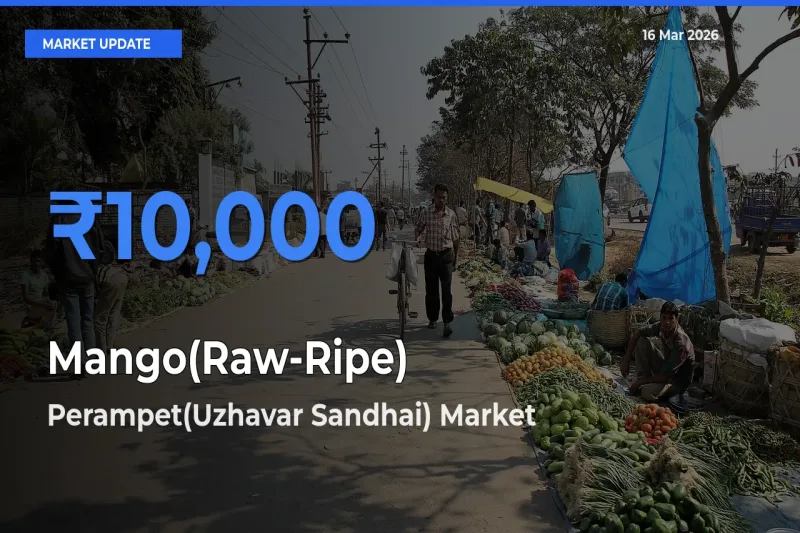 Perampet(Uzhavar Sandhai) Tops Mango(Raw-Ripe) Mandi Rates Today