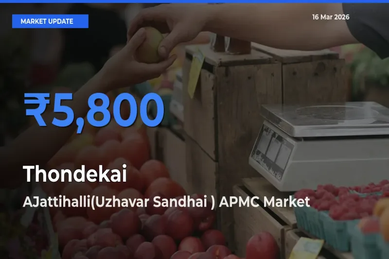 AJattihalli(Uzhavar Sandhai ) APMC Tops Thondekai Mandi Rates Today